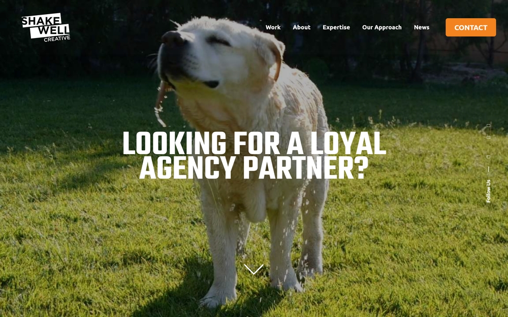 img of B2B Digital Marketing Agency - ShakeWell Creative